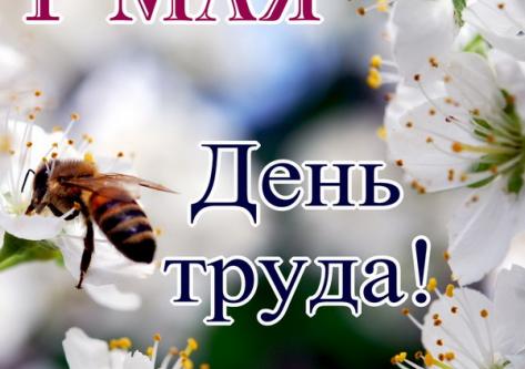 Поздравляем с Праздником 1 мая!!!