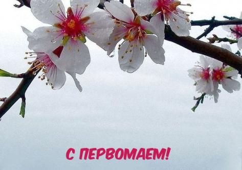 Поздравляем с Праздником 1 мая!!!